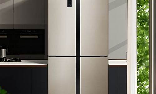高端冰箱排名_高端冰箱排名前十的品牌