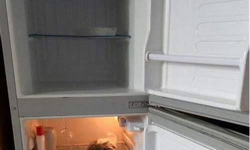 华宝冰箱质量差_华宝冰箱质量差怎么办